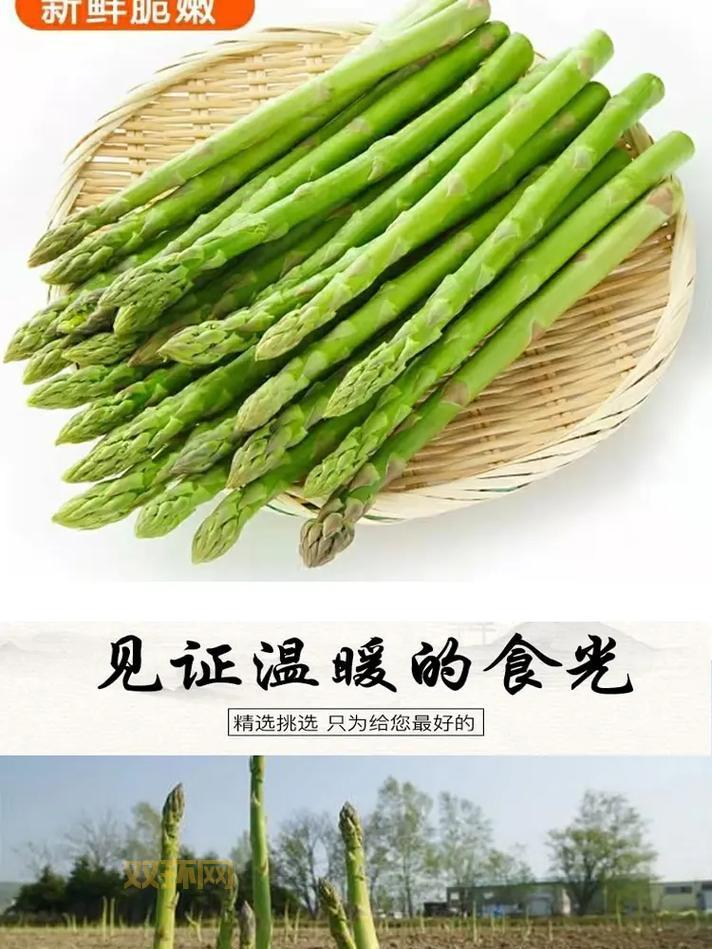 芦笋是笋吗?你可能一直都吃错了!