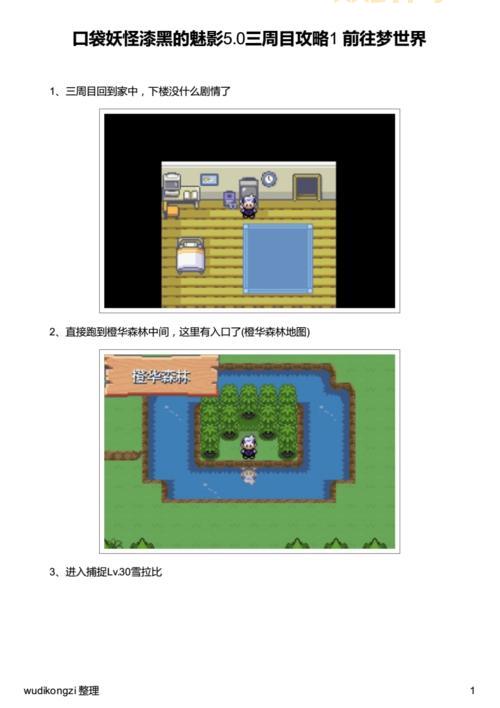 口袋妖怪漆黑的魅影5.0攻略:通关秘籍,助你轻松制霸!