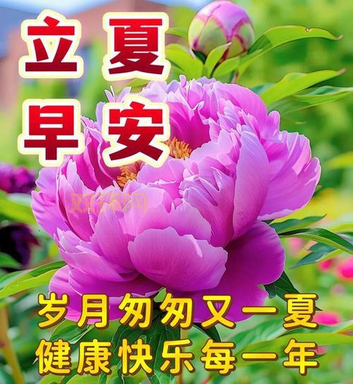 立夏美好寓意:迎接夏天的祝福与健康祈愿