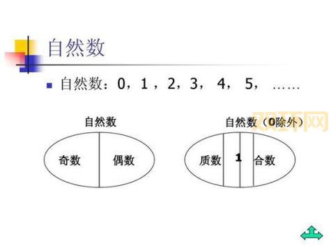 什么是自然数集？从基础到深入解读自然数集合的概念