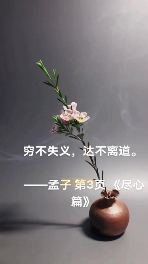 孟子一共有几篇？深入解析七篇内容