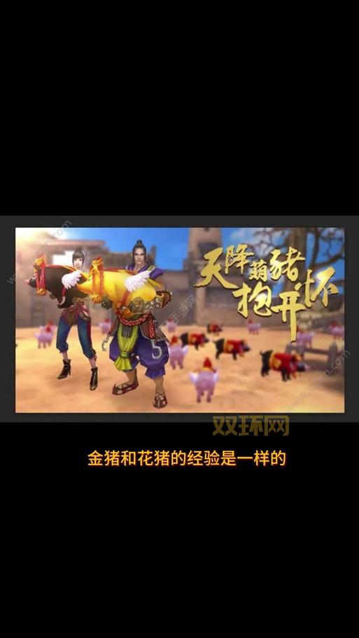 御龙在天马的品质快速提升攻略!教你打造极品坐骑!