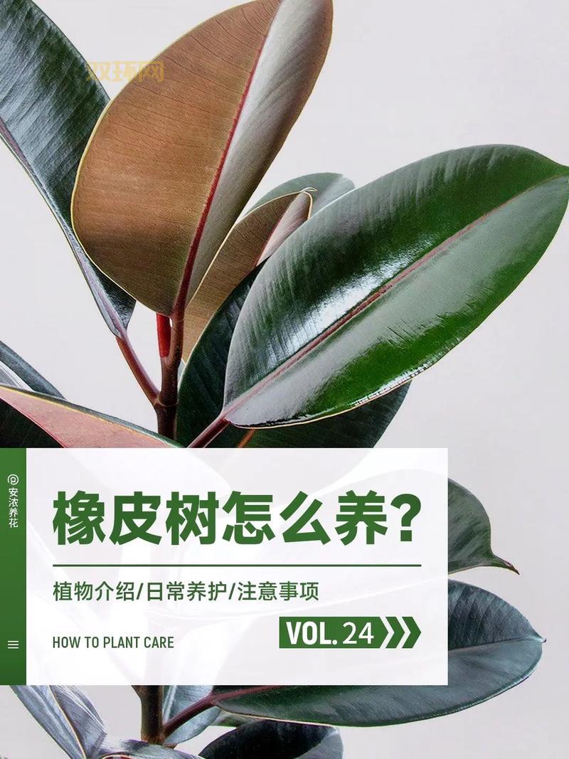 杀手代号47攻略全流程解说，从小白到高手就看这一篇