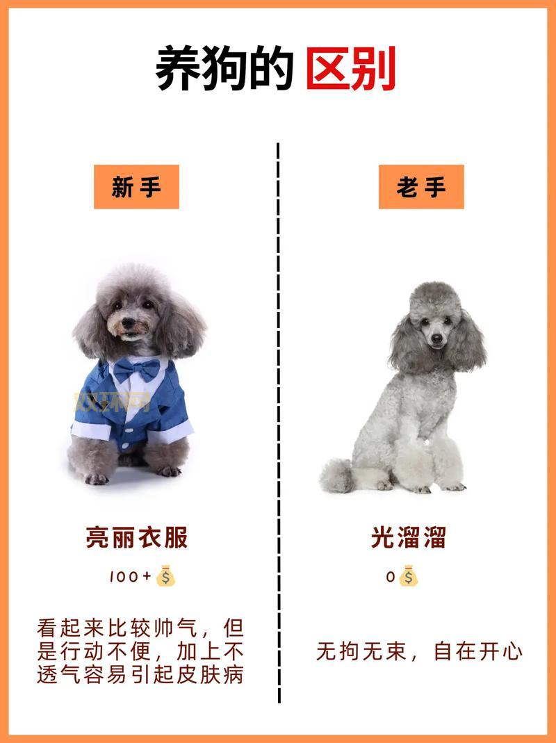 剑姬符文加点攻略,新手老手都适用的终极秘籍!