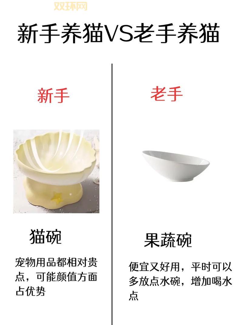 剑姬符文加点攻略,新手老手都适用的终极秘籍!