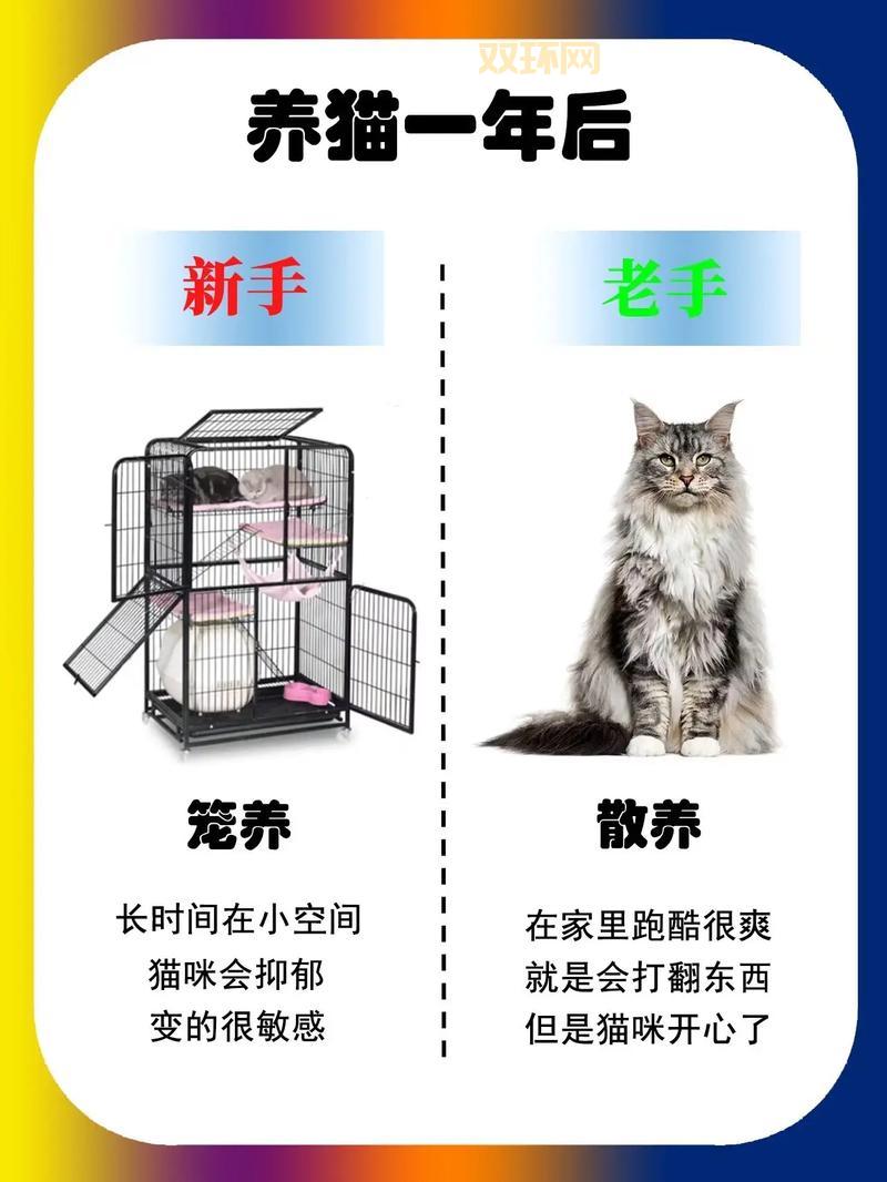 剑姬符文加点攻略,新手老手都适用的终极秘籍!