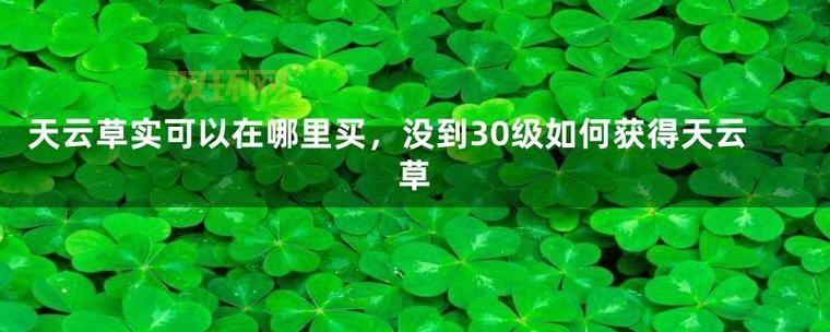天云草实