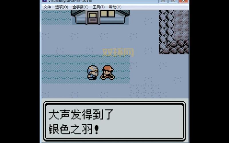 口袋妖怪黑二攻略：全道馆挑战通关技巧大揭秘