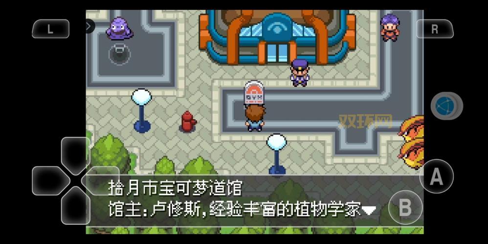 口袋妖怪黑二攻略：全道馆挑战通关技巧大揭秘