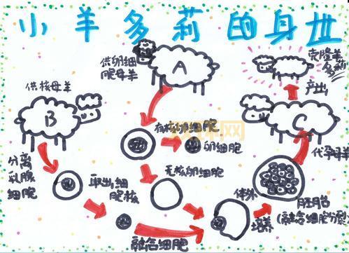 克隆羊多利背后的故事:改变世界的生物科技创新