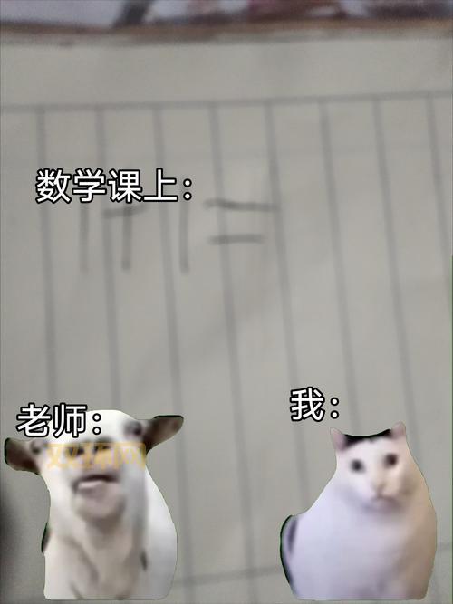 思密达是什么意思啊？网络用语解读及背后含义