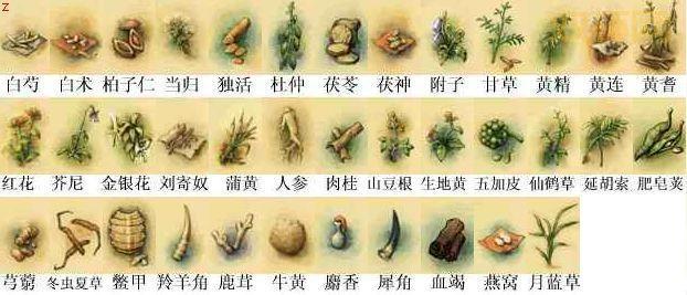 武林群侠传完美攻略,新手小白快速上手指南!