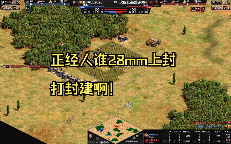 帝国时代2秘籍有哪些?老玩家分享实战攻略!