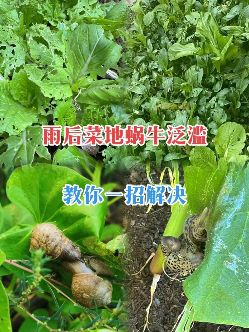 异地登录DNF安全模式挂几天能解除？教你一招解决