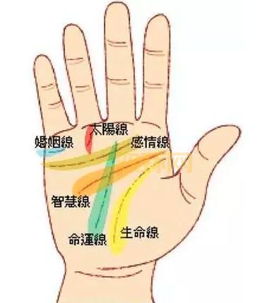 生命线攻略:大神教你玩转生命线,轻松通关!