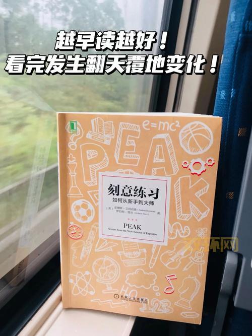 生命方舟2全攻略:从新手到高手的游戏进阶指南
