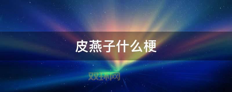 皮燕子梗的由来及其在网络中的流行文化