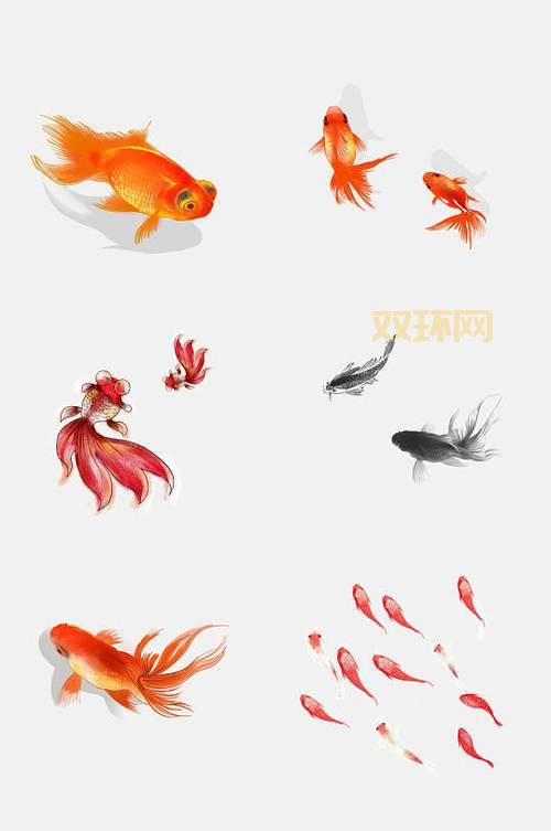 法师水元素冰环宏:轻松召唤与控制水元素
