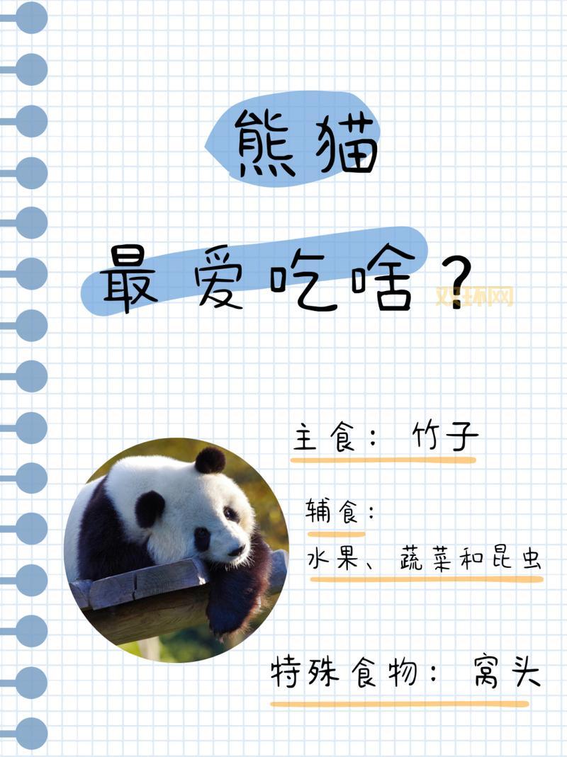 大熊猫爱吃的竹子是什么?饲养员最常用哪几种?