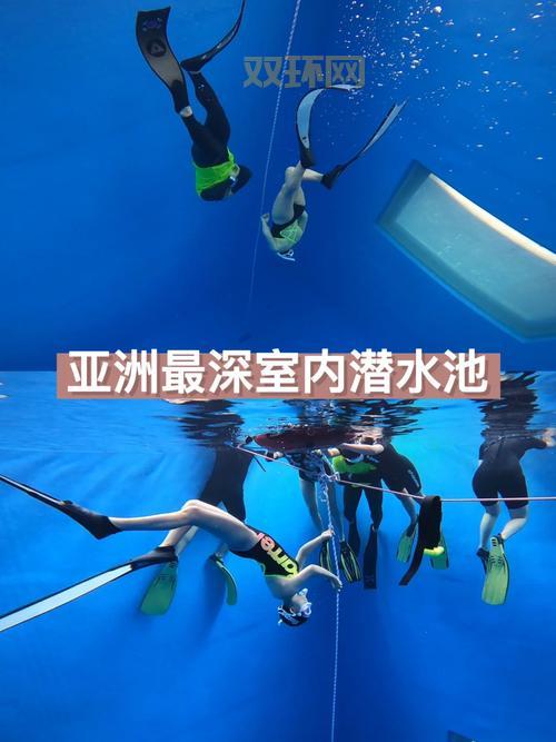 画笔海岭有什么特别之处?潜水爱好者必看!