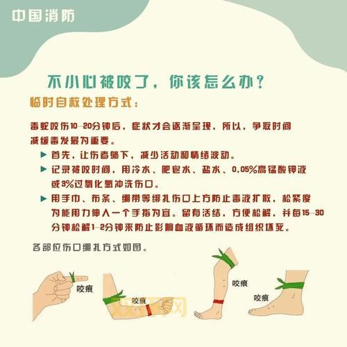 微点防御怎么用？3分钟带你快速上手操作！