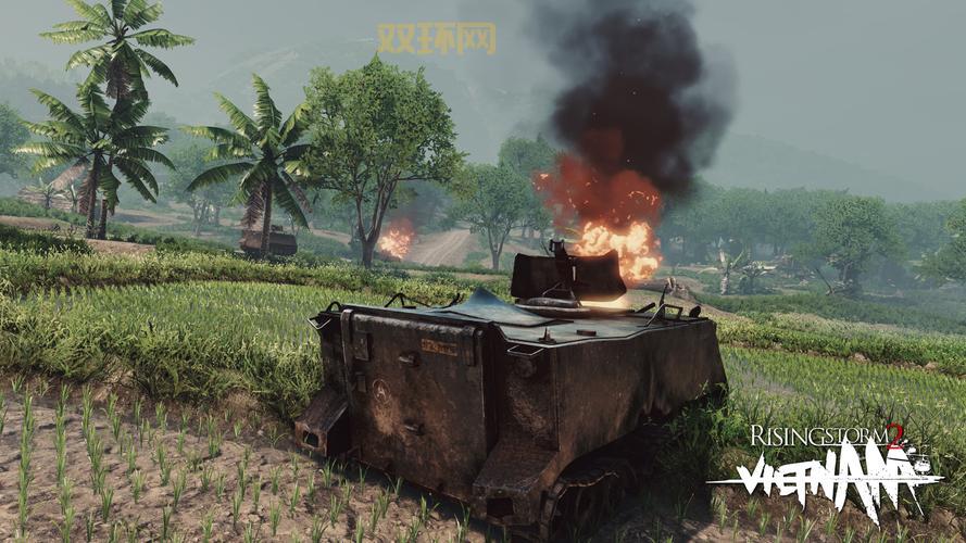 Risingstorm2进不去别慌!一步步排查,问题不再!