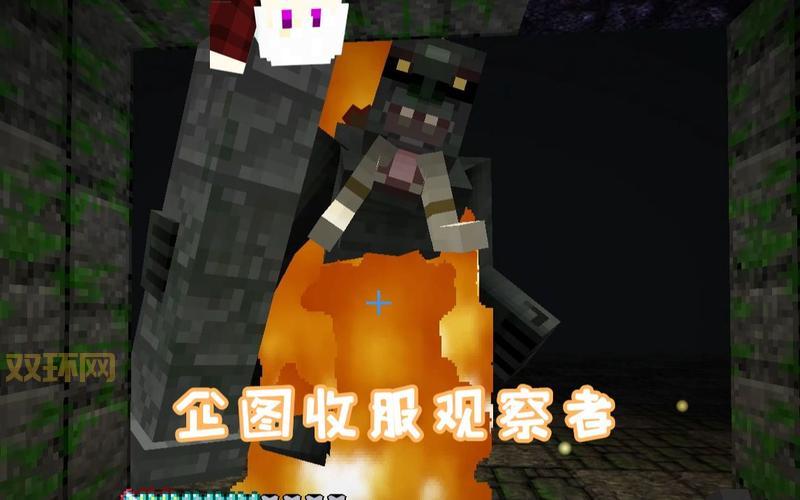 想知道我的世界观察者有啥用?这篇文章给你答案!