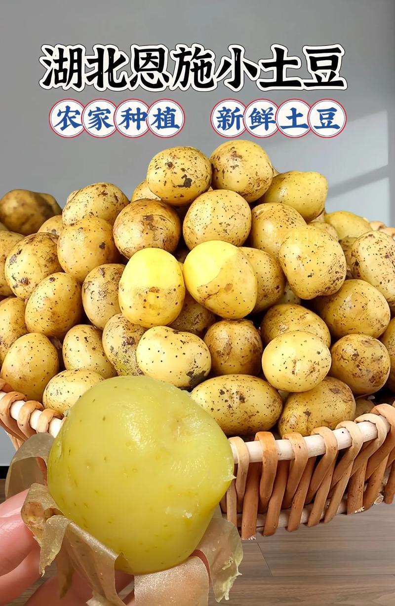 义乌土豆团购网，本地农户直供，新鲜看得见！