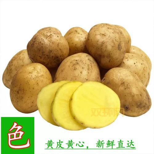 义乌土豆团购网，本地农户直供，新鲜看得见！