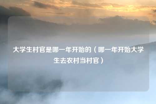 大学生村官是哪一年开始的（哪一年开始大学生去农村当村官）