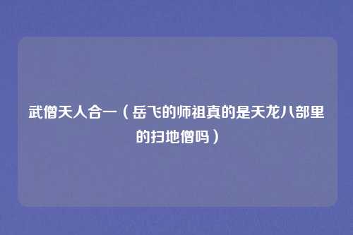 武僧天人合一（岳飞的师祖真的是天龙八部里的扫地僧吗）