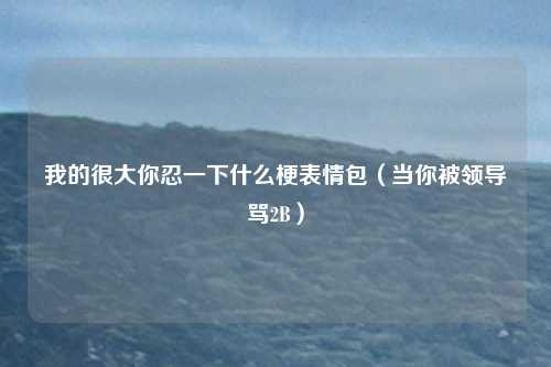 我的很大你忍一下什么梗表情包（当你被领导骂2B）