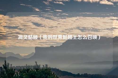 凋灵骷髅（我的世界骷髅王怎么召唤）