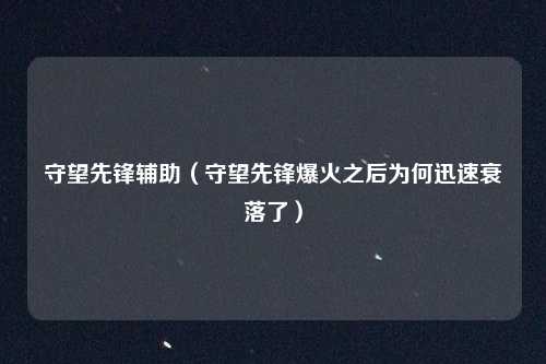 守望先锋辅助（守望先锋爆火之后为何迅速衰落了）