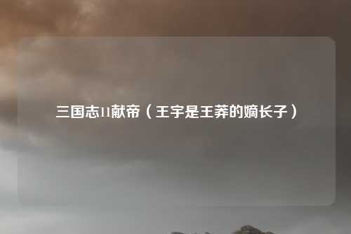 三国志11献帝（王宇是王莽的嫡长子）