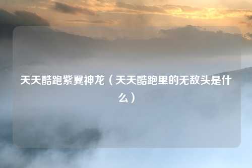 天天酷跑紫翼神龙（天天酷跑里的无敌头是什么）