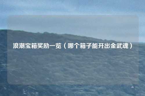浪潮宝箱奖励一览（哪个箱子能开出金武魂）