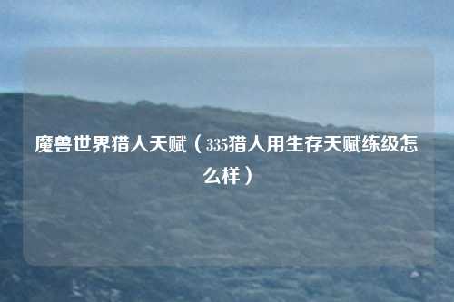 魔兽世界猎人天赋（335猎人用生存天赋练级怎么样）