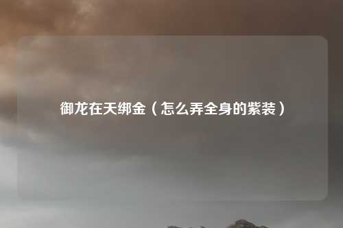 御龙在天绑金（怎么弄全身的紫装）
