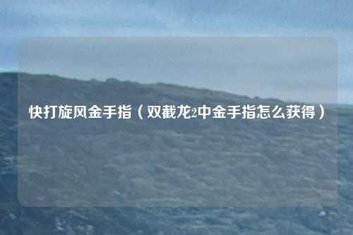 快打旋风金手指（双截龙2中金手指怎么获得）