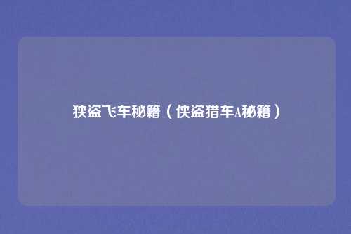 狭盗飞车秘籍（侠盗猎车A秘籍）
