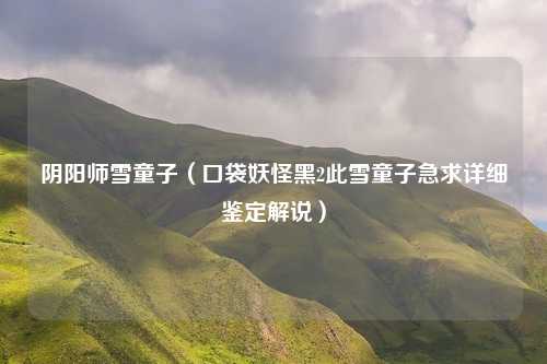 阴阳师雪童子（口袋妖怪黑2此雪童子急求详细鉴定解说）