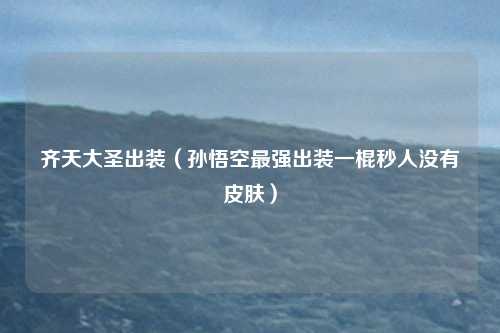 齐天大圣出装（孙悟空最强出装一棍秒人没有皮肤）
