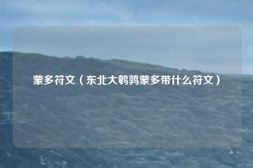 蒙多符文（东北大鹌鹑蒙多带什么符文）