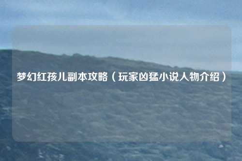 梦幻红孩儿副本攻略（玩家凶猛小说人物介绍）