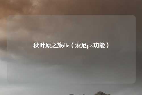 秋叶原之旅dlc（索尼psv功能）