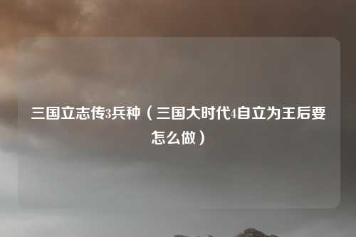三国立志传3兵种（三国大时代4自立为王后要怎么做）