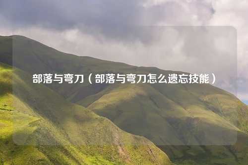 部落与弯刀（部落与弯刀怎么遗忘技能）