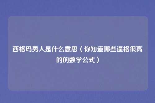 西格玛男人是什么意思（你知道哪些逼格很高的的数学公式）