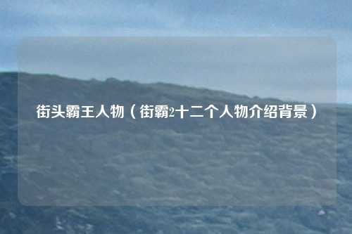 街头霸王人物（街霸2十二个人物介绍背景）